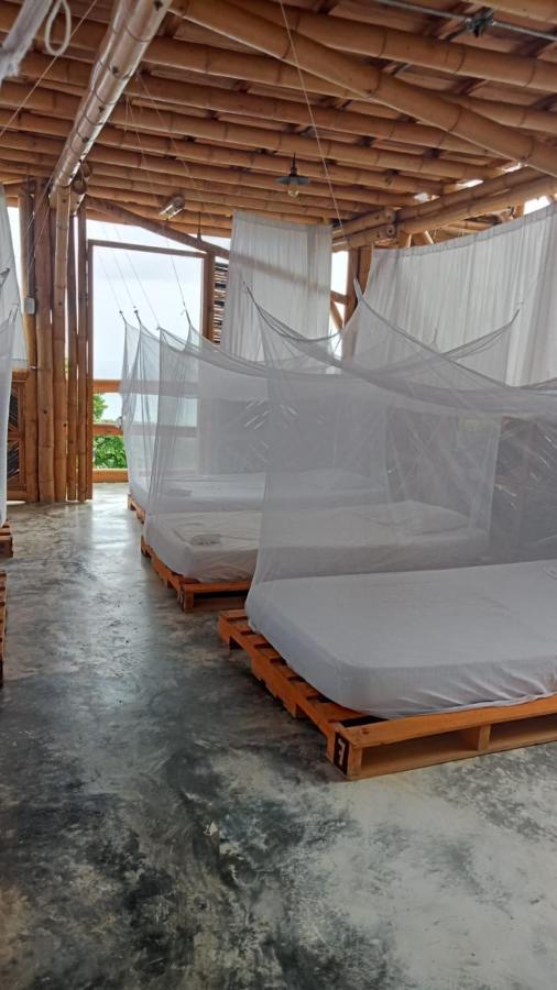 Niuwi Hostel Buritaca Zewnętrze zdjęcie