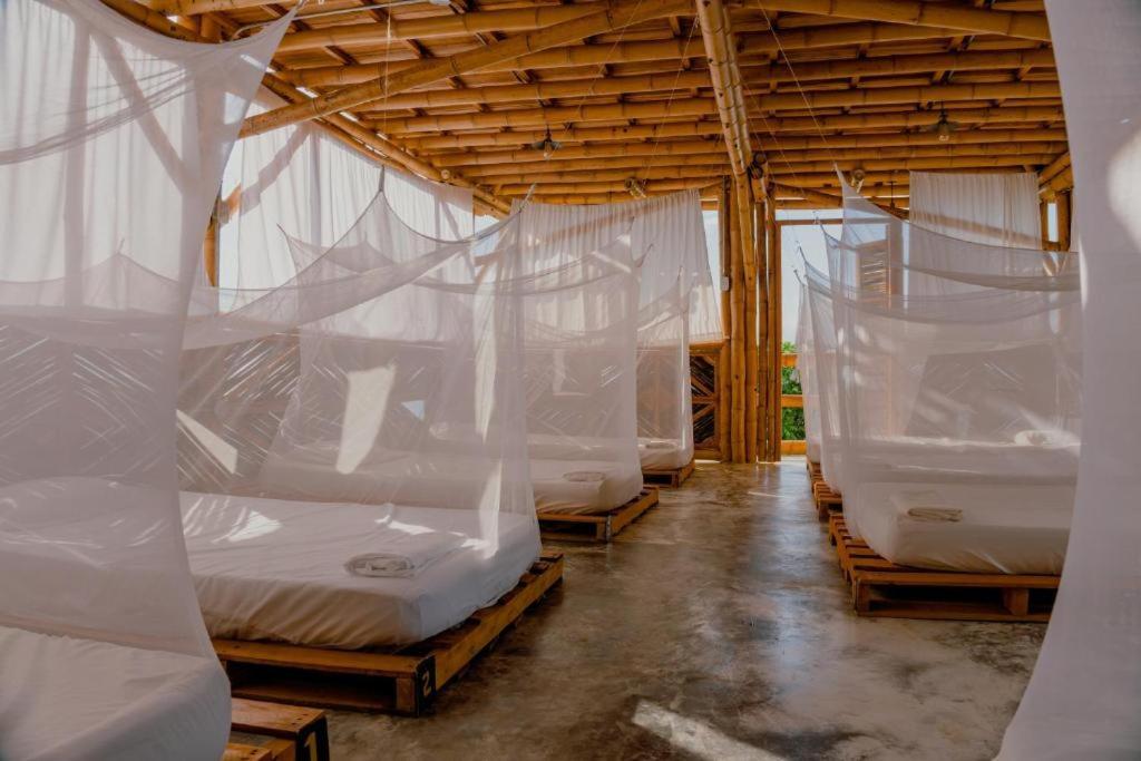 Niuwi Hostel Buritaca Zewnętrze zdjęcie